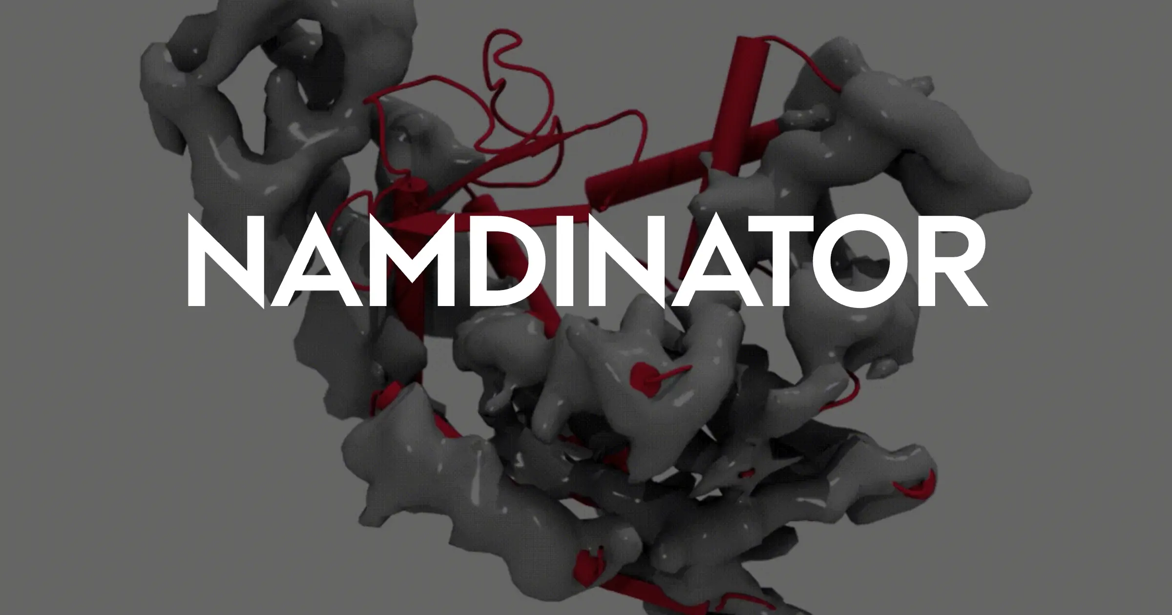 Namdinator
